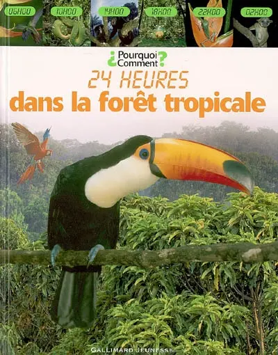 24 heures dans la forêt tropicale