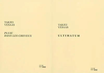 Ultimatum. Pluie dans les cheveux