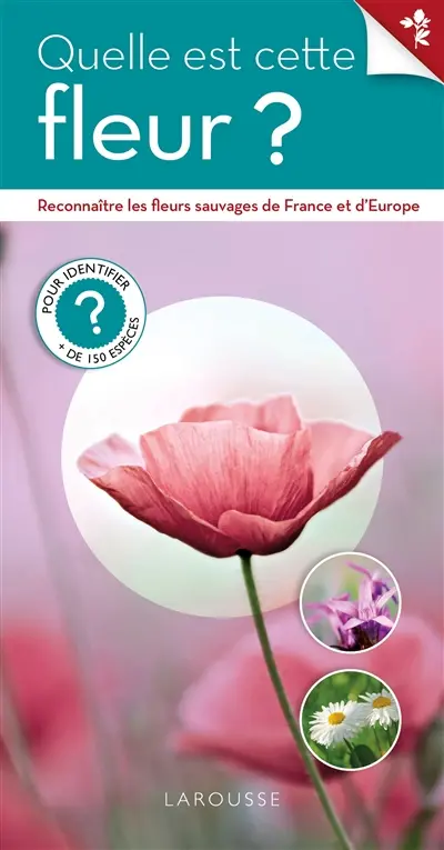 Quelle est cette fleur sauvage ?