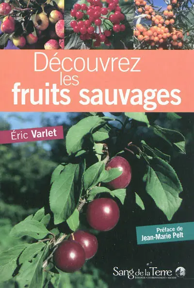 Découvrez les fruits sauvages : comestibles et toxiques