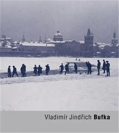 Vladimir Jindrich Bufka