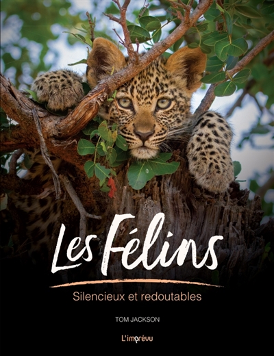 Les félins : silencieux et...