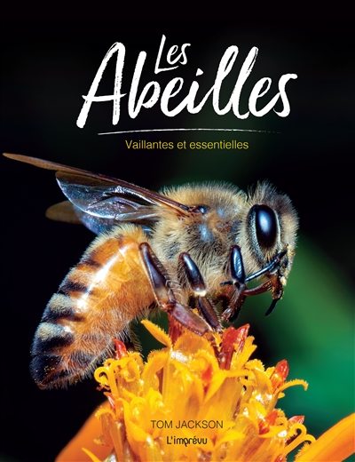 Les abeilles : vaillantes et essentielles