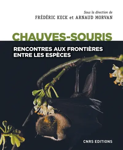 Chauve-souris. Rencontre aux frontières entre les espèces