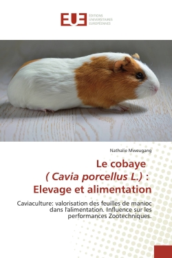 Le cobaye ( Cavia porcellus...