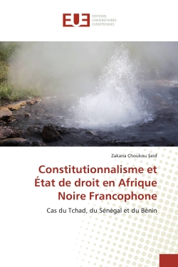 Constitutionnalisme et Etat...