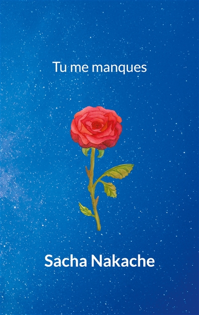 Tu me manques
