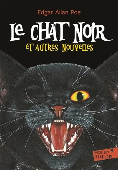 Le chat noir : et autres nouvelles