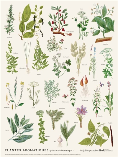 Plantes aromatiques :...
