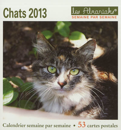 Chats 2013 : calendrier semaine par semaine : 53 cartes postales