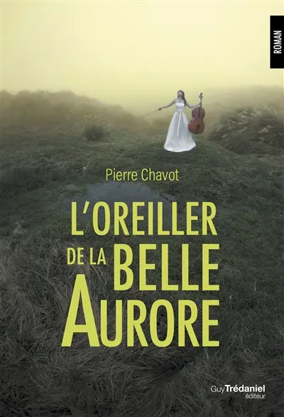 L'oreiller de la belle Aurore