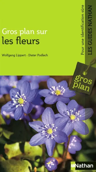 Gros plan sur les fleurs