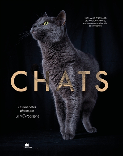 Chats : les plus belles photos par Le Muzographe