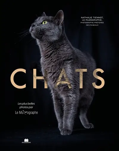 Chats : les plus belles photos par Le Muzographe
