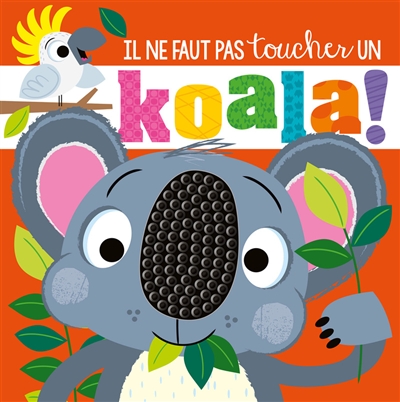 Il ne faut pas toucher un koala !