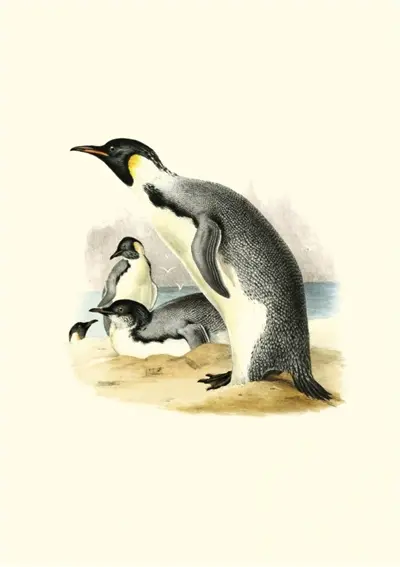 Erebus et Terror en Antarctique : the Antarctic voyage of H.M. discovery ships Erebus and Terror in the years 1839-1843