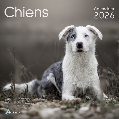 Chiens : calendrier 2026 :...