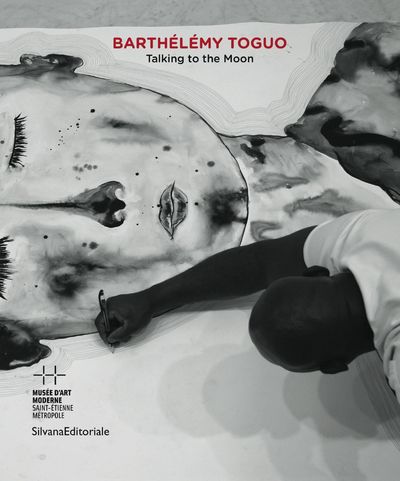 Barthélémy Toguo : Talking to the moon : exposition, Saint-Etienne, Musée d'art moderne, du 23 février au 26 mai 2013
