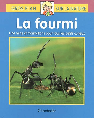 Gros plan sur la nature: la fourmi