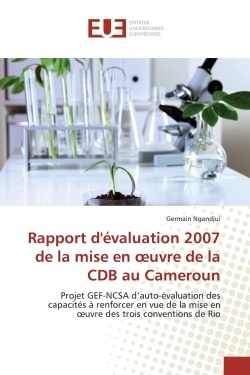 Rapport d'évaluation 2007...