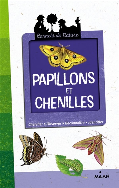 Papillons et chenilles