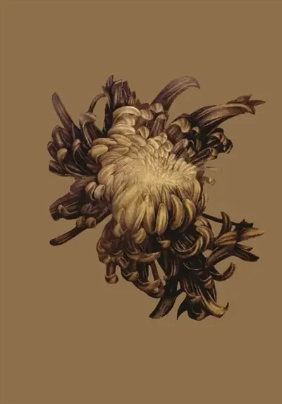 Grand carnet Peau d'âne