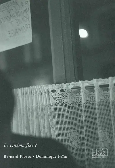 Le cinéma fixe ?