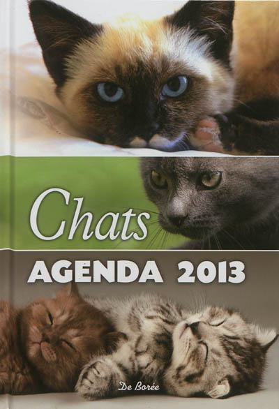 Chats : agenda 2013
