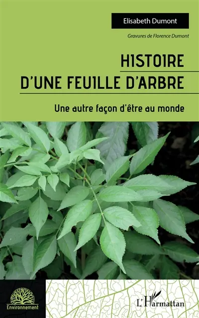 Histoire d'une feuille d'arbre : une autre façon d'être au monde