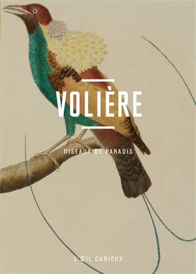 Volière : oiseaux de paradis