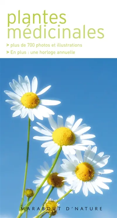 Plantes médicinales : les reconnaître facilement sans se tromper