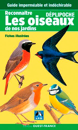 Reconnaître les oiseaux de nos jardins : fiches illustrées