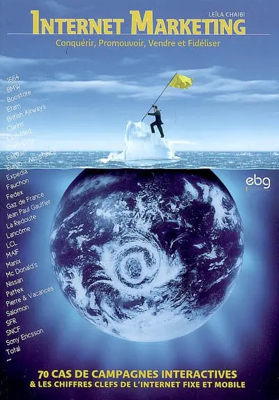 Internet marketing : conquérir, promouvoir, vendre et fidéliser : 70 cas de campagnes interactives & les chiffres clefs de l'Internet fixe et mobile
