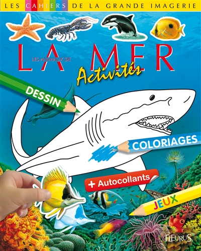 Les animaux de la mer : activités, dessin, coloriages, jeux + autocollants