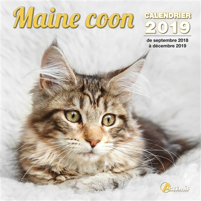 Maine coon : calendrier...