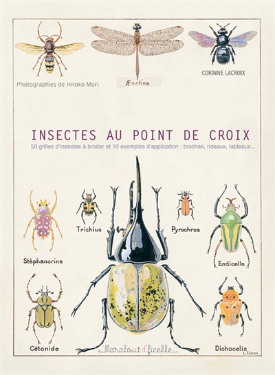 Insectes au point de croix