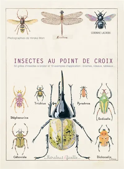 Insectes au point de croix
