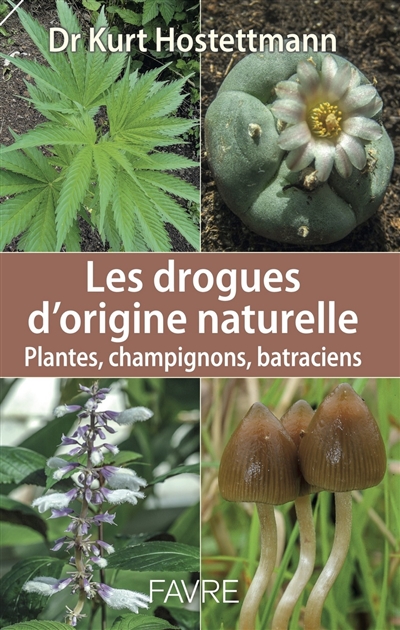 Les drogues d'origine naturelle : plantes, champignons, batraciens