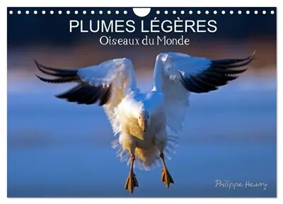 PLUMES LEGERES. Oiseaux du Monde (Calendrier mural 2026 DIN A4 vertical), CALVENDO calendrier mensuel : Treize photos d'oiseaux en action, photographiés avec l'oeil d'artiste de philippe Henry