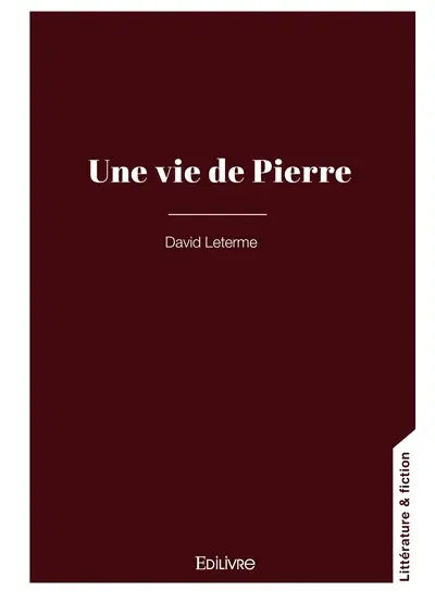 Une vie de pierre