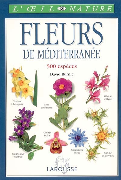 Fleurs de Méditerranée : 500 espèces