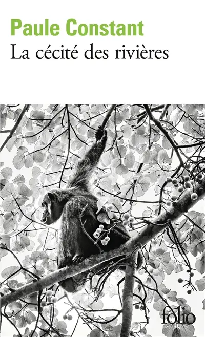 La cécité des rivières