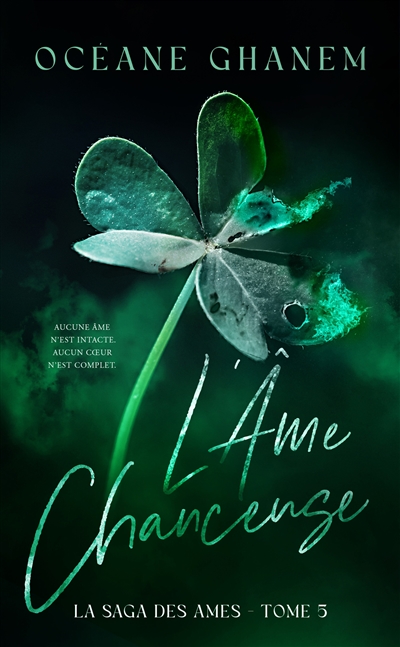 La saga des âmes. Vol. 5. L'âme chanceuse. Vol. 1