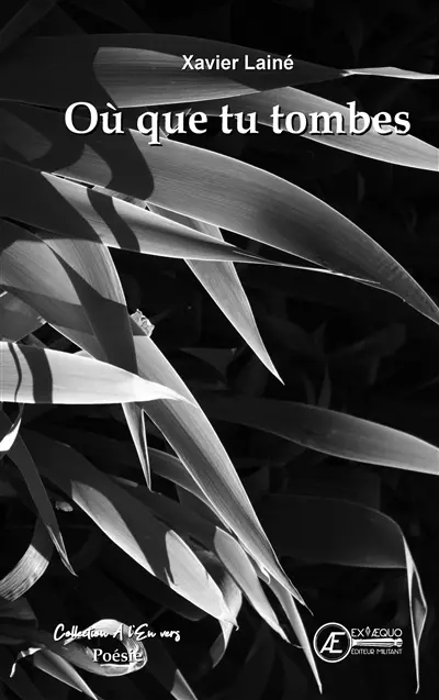 Où que tu tombes : et autres écritures : recueil de poésies