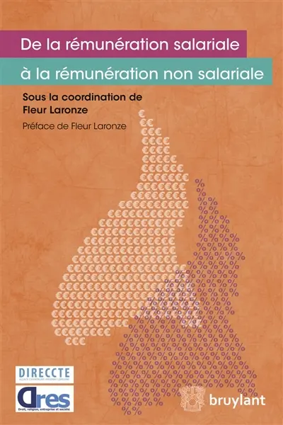 De la rémunération salariale à la rémunération non salariale