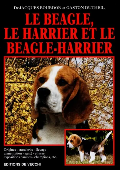Le beagle, le harrier et le beagle-harrier