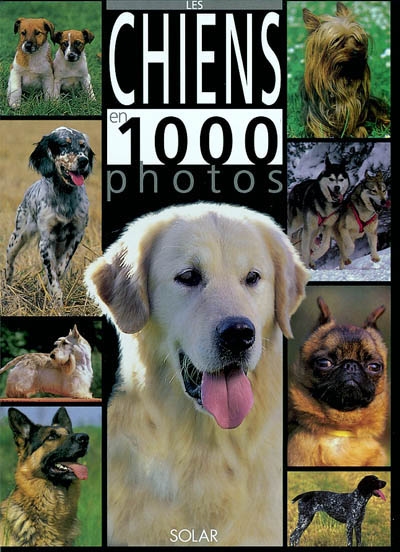 Les chiens en 1.000 photos