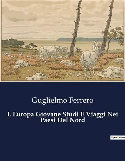 L Europa Giovane Studi E Viaggi Nei Paesi Del Nord