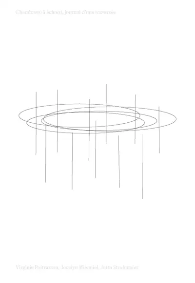 Chambre(s) à écho(s) : journal d'une traversée