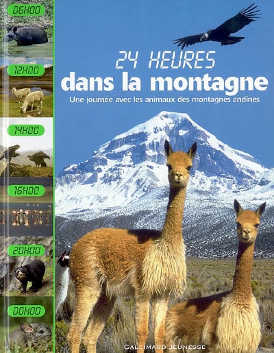 Dans la montagne : une journée avec les animaux des montagnes andines